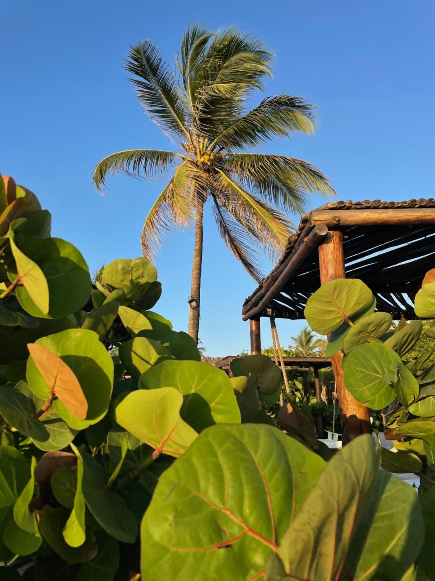 Namaste Beach Club & Hotel Playa de Punta Arena Esterno foto